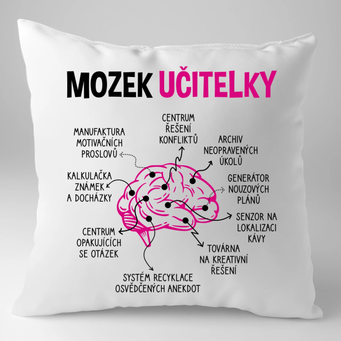 Mozek učitelky - polštář s potiskem