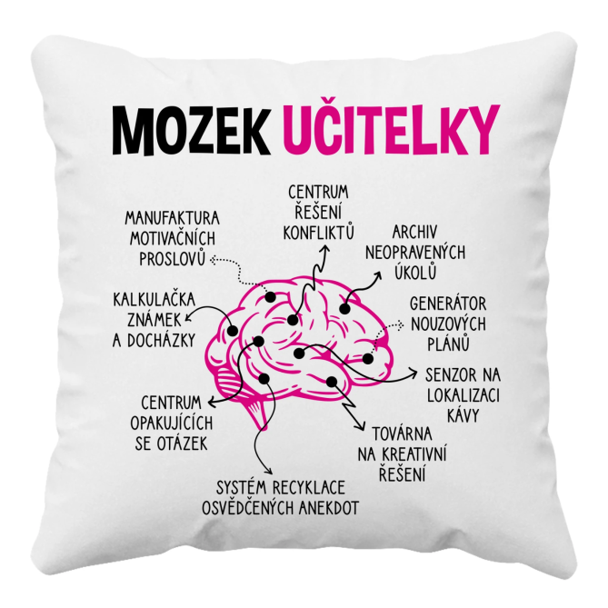 Mozek učitelky - polštář s potiskem