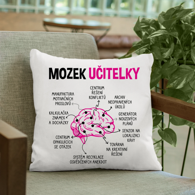 Mozek učitelky - polštář s potiskem