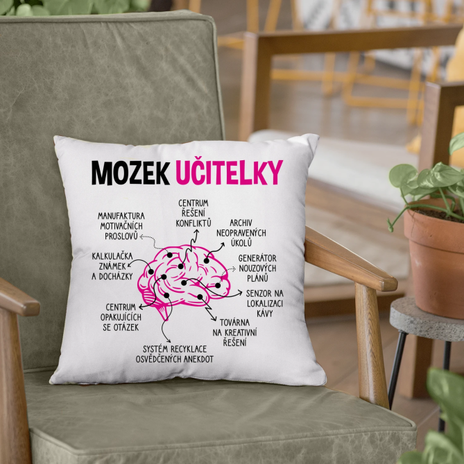 Mozek učitelky - polštář s potiskem