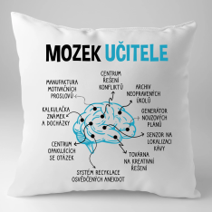 Mozek učitele - polštář s potiskem
