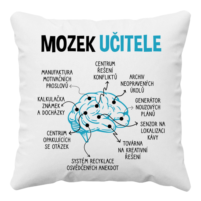 Mozek učitele - polštář s potiskem