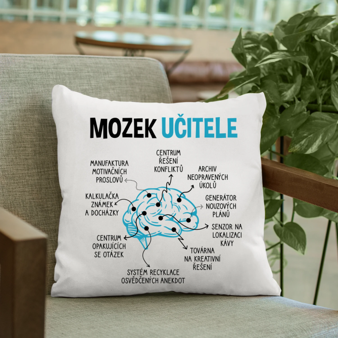 Mozek učitele - polštář s potiskem