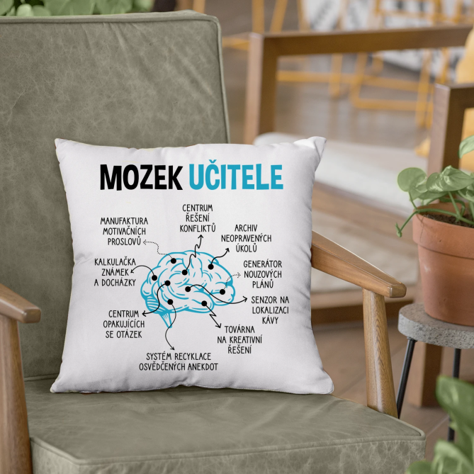 Mozek učitele - polštář s potiskem